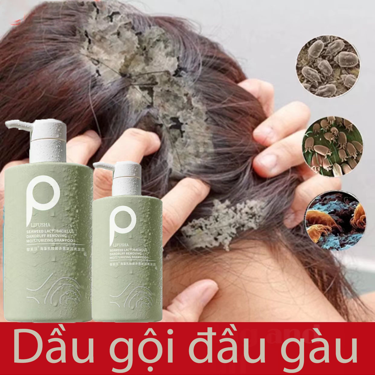 Sea salt shampoo Dầu gội đầu muối biển dầu gội đầu loại bỏ gàu dầu gội loại bỏ tế bào chết dầu gội chống ngứa loại bỏ ngứa ngáy vảy nến hiệu quả làm sạch da đầu mạnh mẽ/