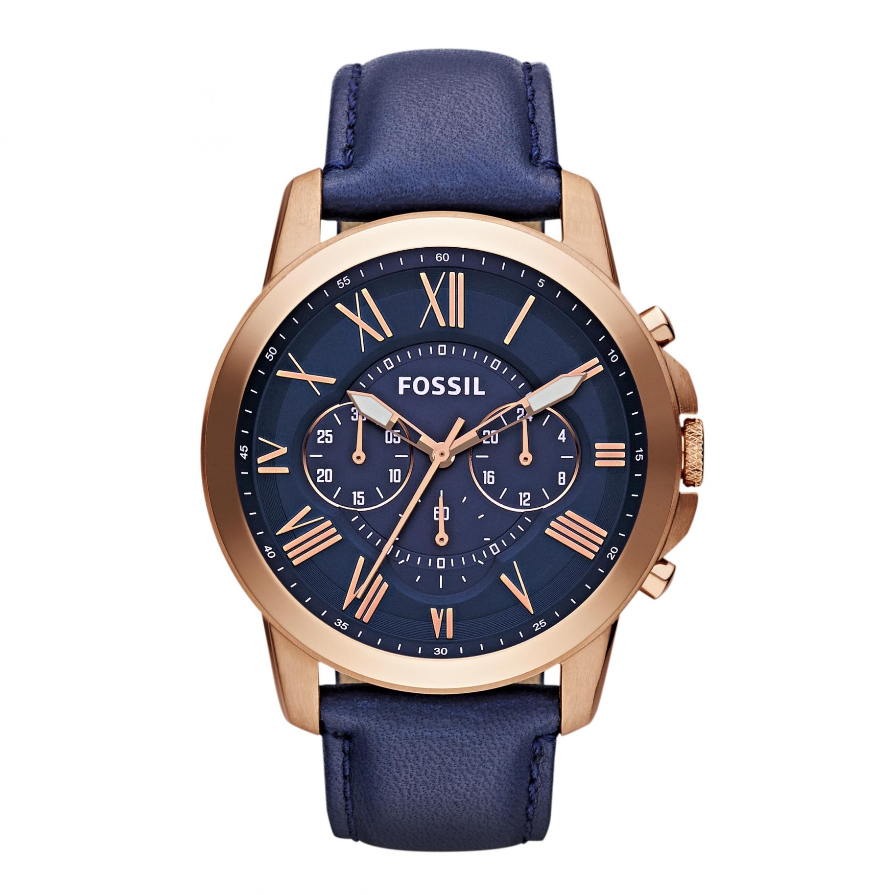fossil edifice