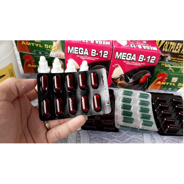 Thuốc nuôi gà đá mega b12 tăng nước máu giúp chiến kê sung mãn, mau tới đá