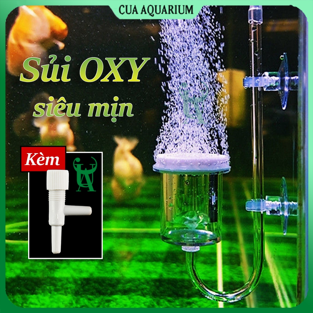 Cốc sủi oxy siêu mịn | Đầu sủi oxy cho bể cá