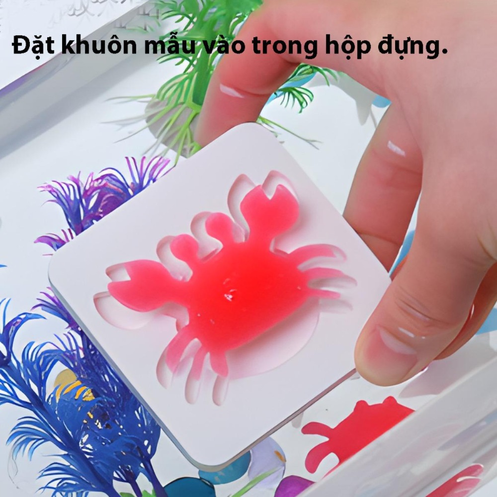 lớp khoa học mẫu giáo sáng tạo vật liệu, cha mẹ tương tác, trẻ em 4-6 tuổi, pha lê kỳ diệu, nàng tiên nước, đồ chơi thủy canh, thủ công sáng tạo, thí nghiệm DIY