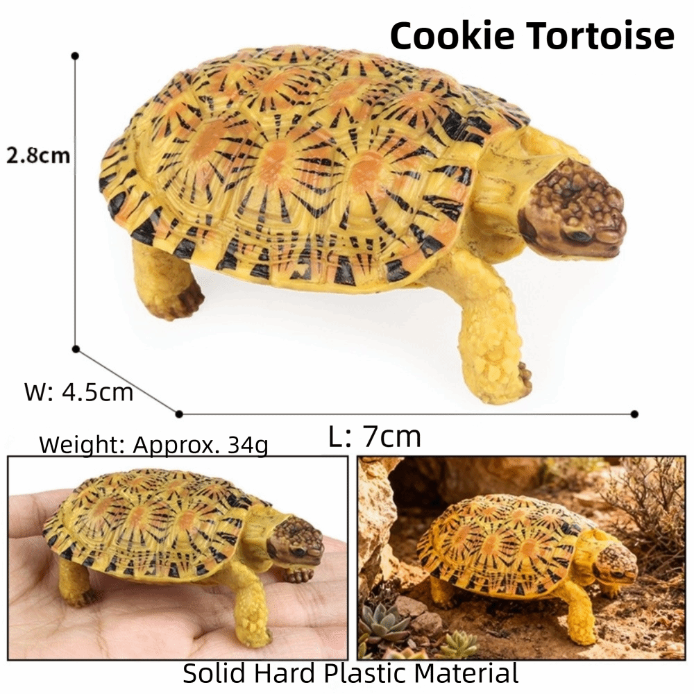 LUAN300603 PVC Tortoise Figurines Detailed Sculpture Animal Shape Geochelone Model Educational Toy Model Figurines Star Turtle Education Purpose