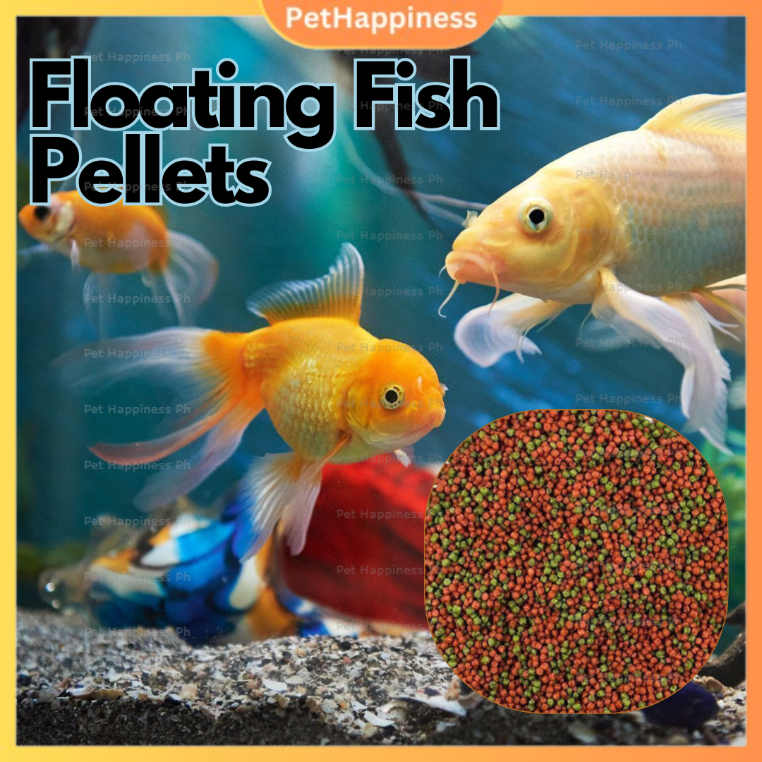 Premium Floating Fish Pellets - 1 Kilo, Red & Green