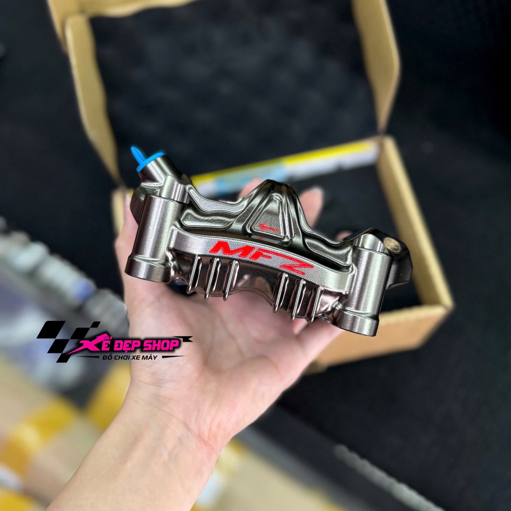 heo GP MFZ lỗ 100mm màu niken xám