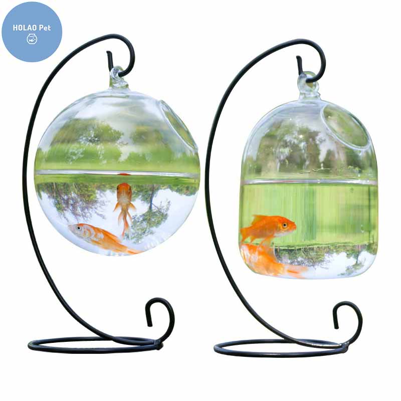 The Pros and Cons of Using a Wall Fish Bowl