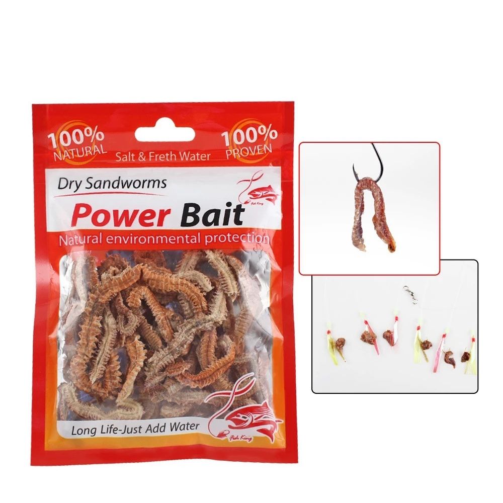 Dry Worm - Best Price in Singapore - Apr 2024