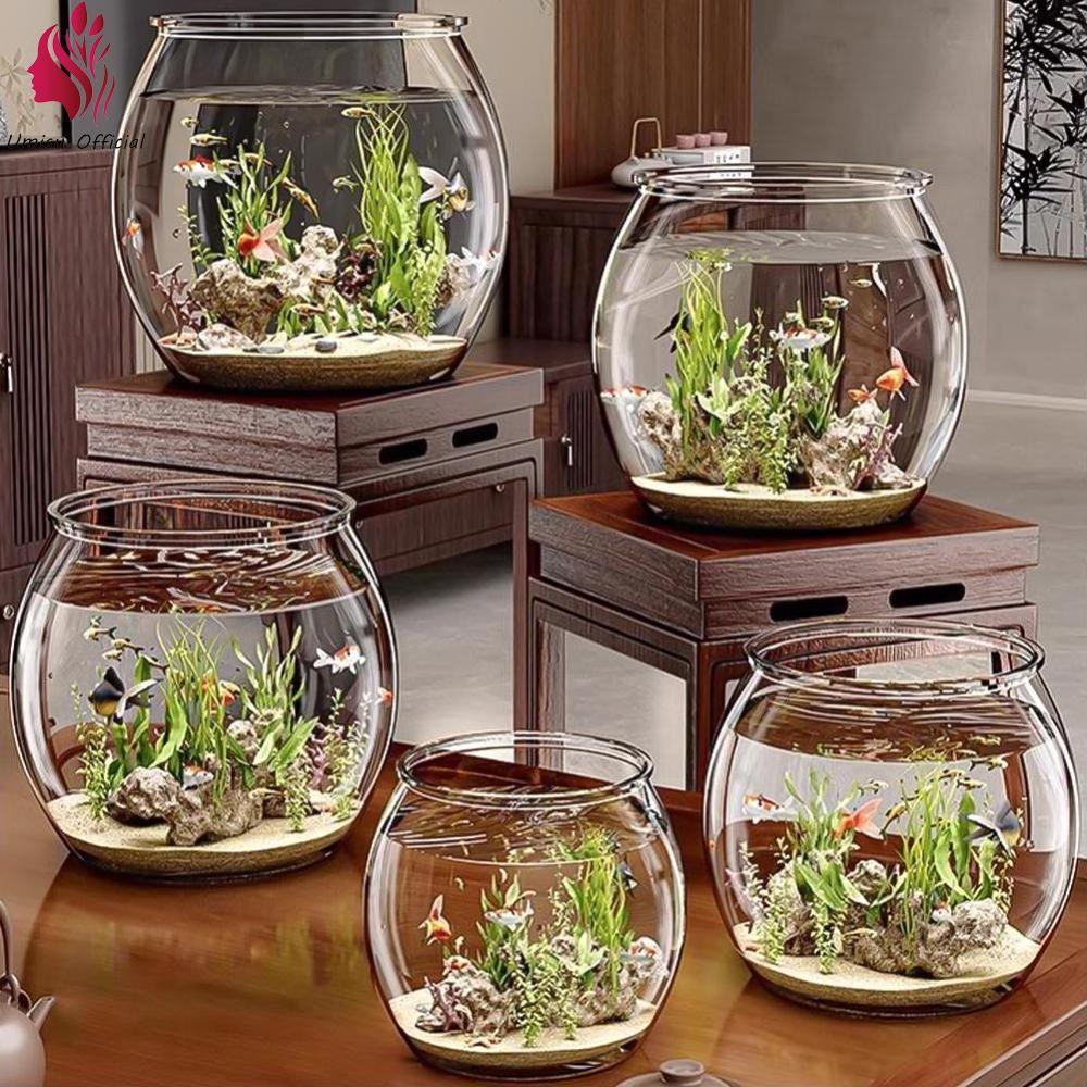 Umisu bể cá trang trí tròn trong suốt bể cá guppy cá vàng đồ trang trí bàn học Bình cá nhỏ trồng thủy canh