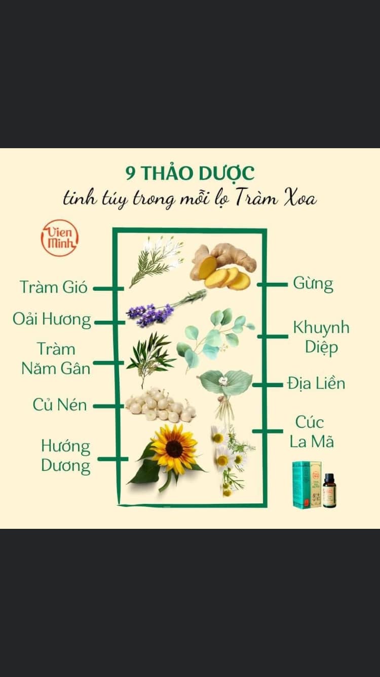 Tinh Dầu Tràm Xoa - Chính Hãng Loại Đặc Biệt 30ml