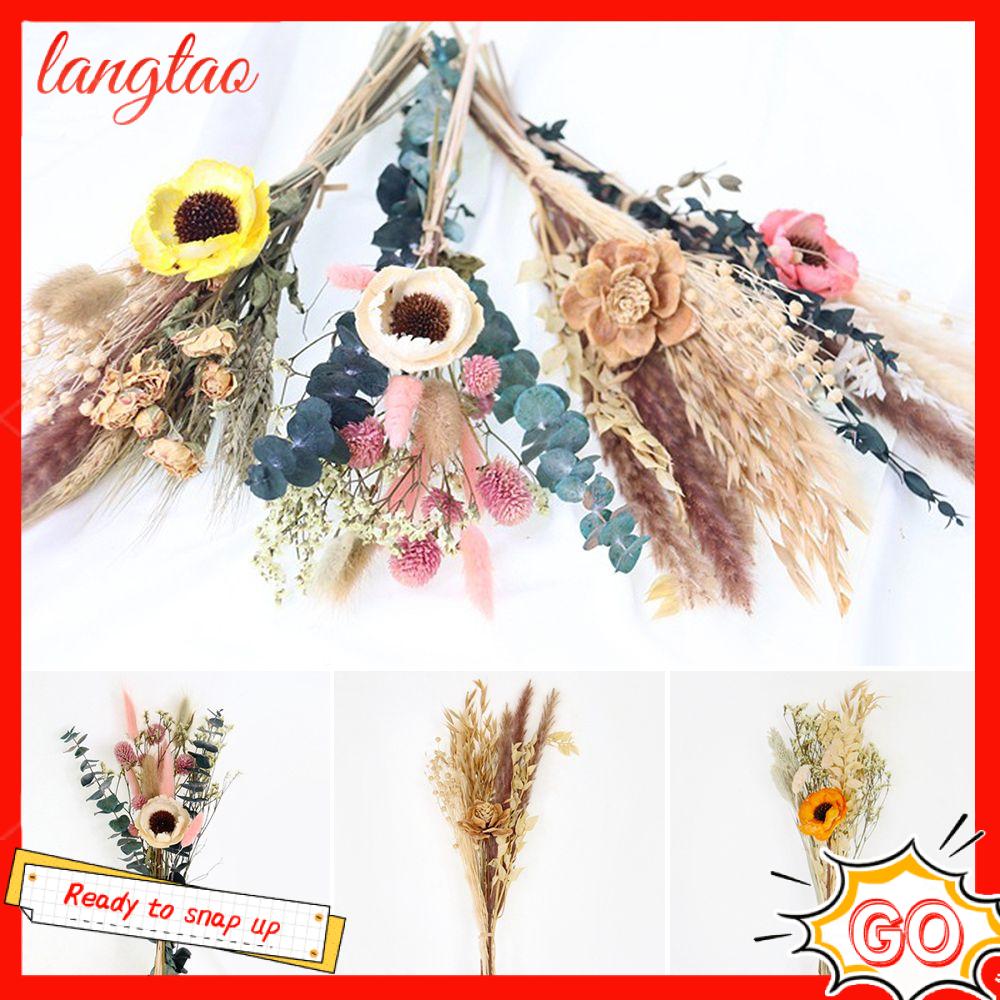 LANGTAO Trang trí tiệc cưới Thân cây Đạo cụ ảnh Trang trí nội thất Hoa thật Bunny Tails Cỏ Pampas Bó Hoa nhân tạo tự nhiên sậy
