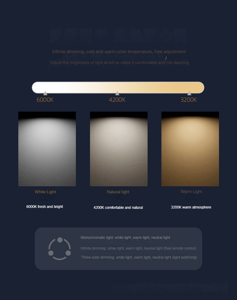 Details page figure 04.jpg