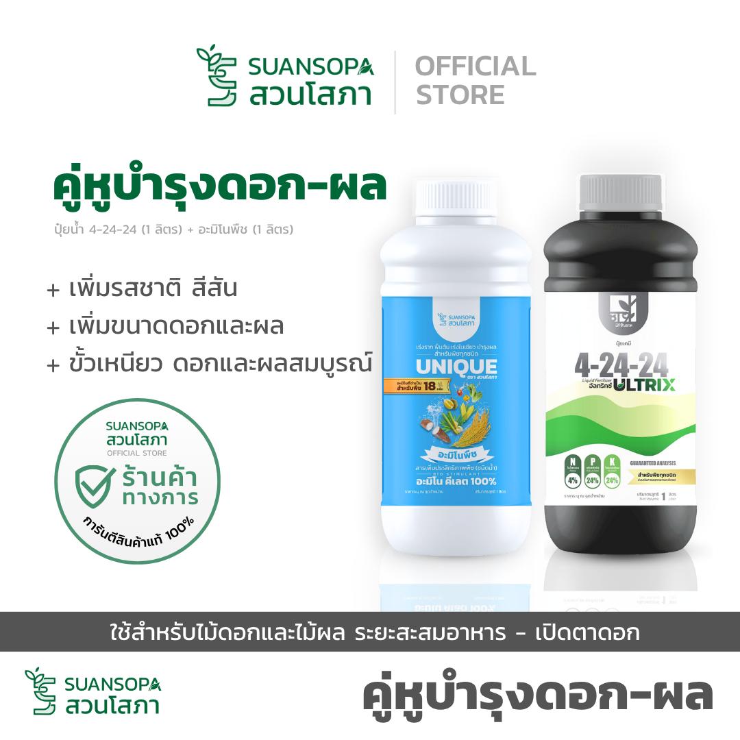 Vase Garden, a Partner in Nourishing Flowers and Fruit for Flowering Plants and Fruit Trees, the Period of Food Accumulation and Flowering. ราคา 1,080 บาท*ส่งฟรี