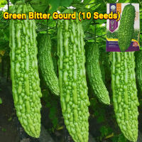 เมล็ดพันธุ์ มะระขี้นก บรรจุ 10เมล็ด Green Bitter Gourd Seeds Organic Vegetable Seeds for Planting เมล็ดพันธุ์มะระจีน เมล็ดมะระ ผักออร์แกนิก F1 เมล็ดพันธุ์ผัก บอนไซ พันธุ์ผัก เมล็ดผัก เมล็ดพันธุ์ OP แท้ ผักสวนครัว เมล็ดงอกสูง ปลูกง่าย ปลูกได้ทั่วไทย Plants
