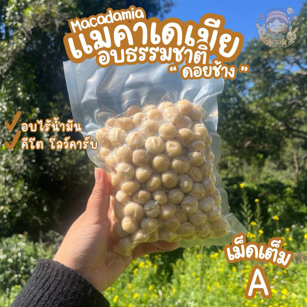 ***ของแท้100%-ของแถมมากมาย-ลด30%*** แมคคาเดเมียไทย(เม็ดเต็มA ) Macadamia อบใหม่ สดจากสวน ไร้สารเติมแต่ง ราคา 1,432 บาท*ส่งฟรี