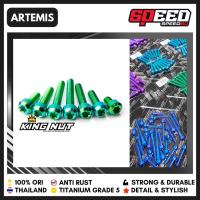Baut Blok Kanan Kiri Kawasaki Ninja R RR isi 20 Tanpa Cover Baut Titanium Probolt Grade 5 Thailand King Nut