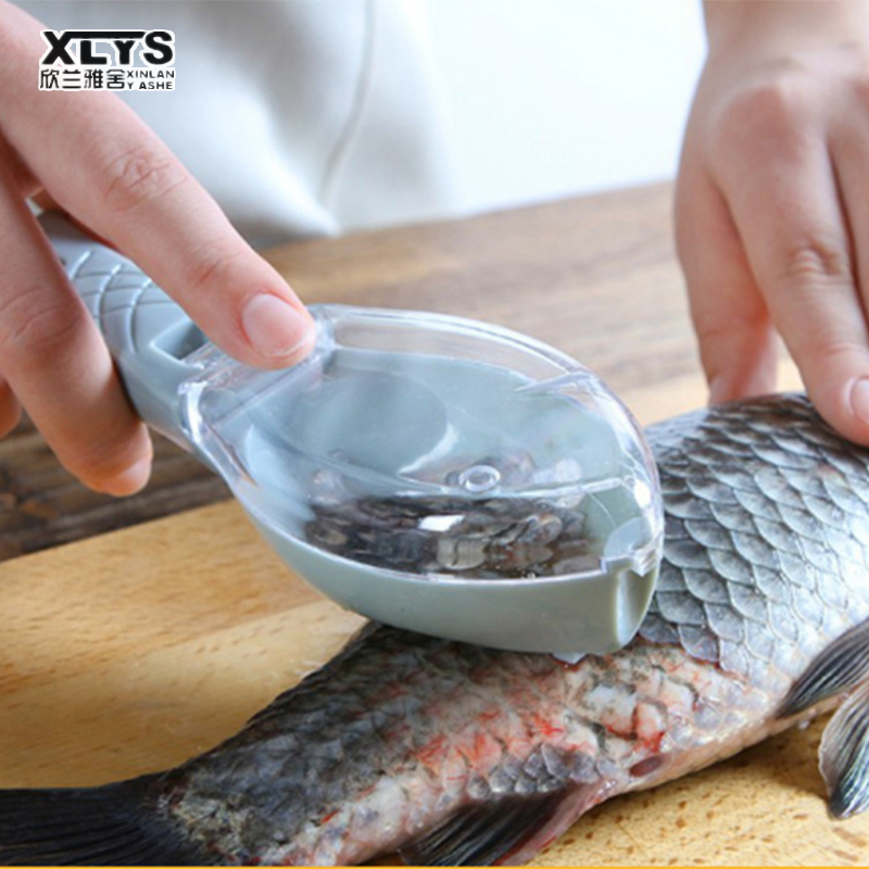 Household kitchen tools covered fish scaler kitchen fish scaler manual fish scaler JY195 ราคา 36 บาท*ส่งฟรี