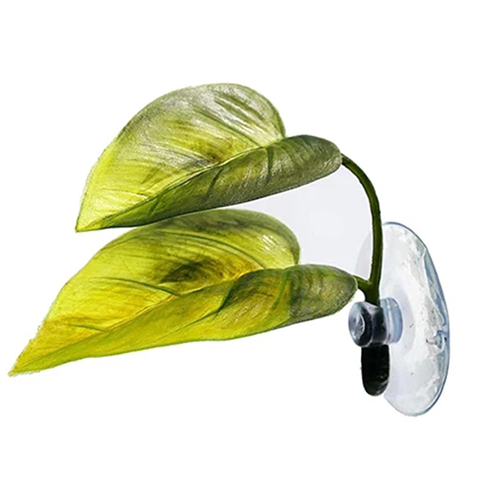 Cá cảnh nhà bể Lá Giả cây cảnh trang trí trang trí