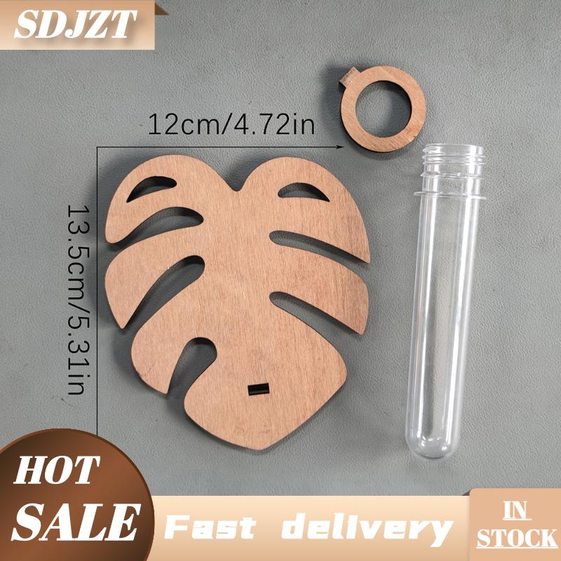 SDJZT ที่แขวนติดผนังแบบมอนสเตราทำจากไม้สำหรับตกแต่งบ้านพร้อมแจกันหลอดทดลองไฮโดรโปนิกส์แบบบูรณาการ