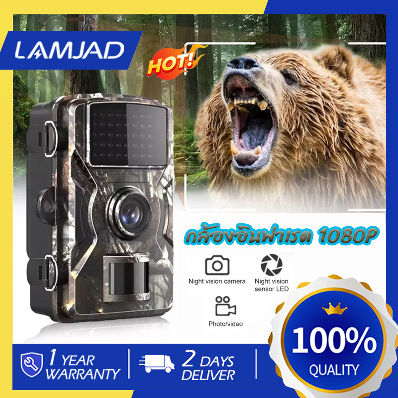 กล้องอินฟาเรด 16MP 1080P กันน้ำ มีมุมมองกลางคืน สำหรับล่าสัตว์ กลางแจ้ง IP66 กันน้ำ [จัดส่งจากประเทศไทย] ราคา 550 บาท*ส่งฟรี