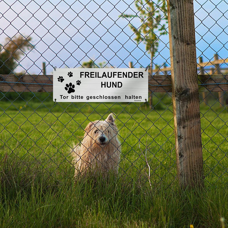 Hier Wache Ich Hund Vorsicht Freilaufender Hund Sign Betreten Auf Eigene Gefahr Sign Brushed