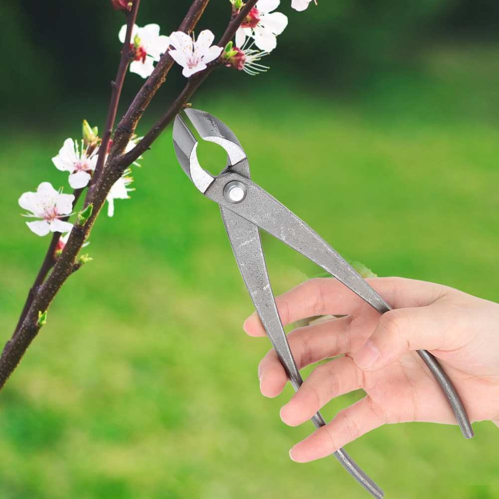 Kéo cắt tỉa cành cây 8.4x 2in dưa chuột Kìm cắt làm vườn cho vườn cà chua