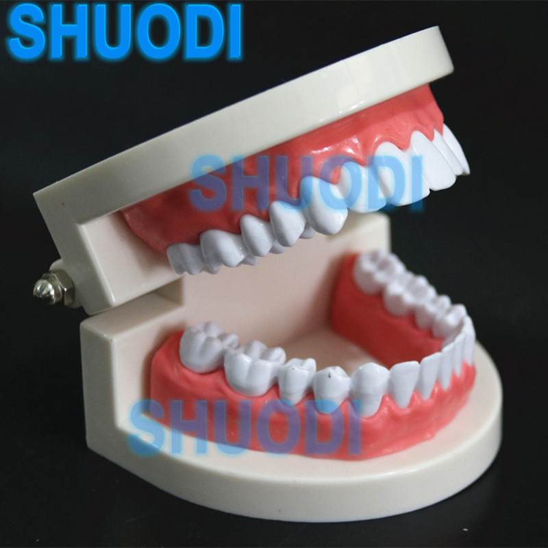1 Piece nha khoa mô hình răng mô hình nha khoa chỉnh nha mô hình cho bệnh