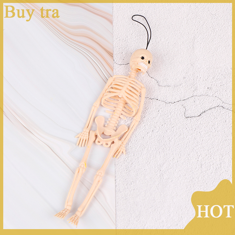 Buytra XiaoLouL 1PC Halloween toy 20cm realistic human skeleton mold kids