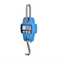Hanging Scale Weighing Scales Heavy Duty LCD Mini Crane Scale 300kg Luggage presale Digital Hook