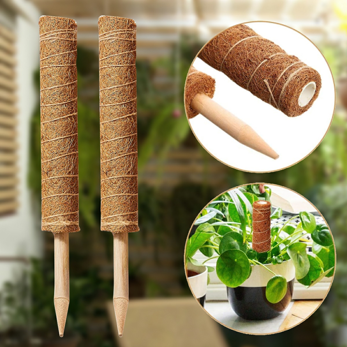 Trụ cột xơ dừa cho cây leo bám cột 30/40/50cm