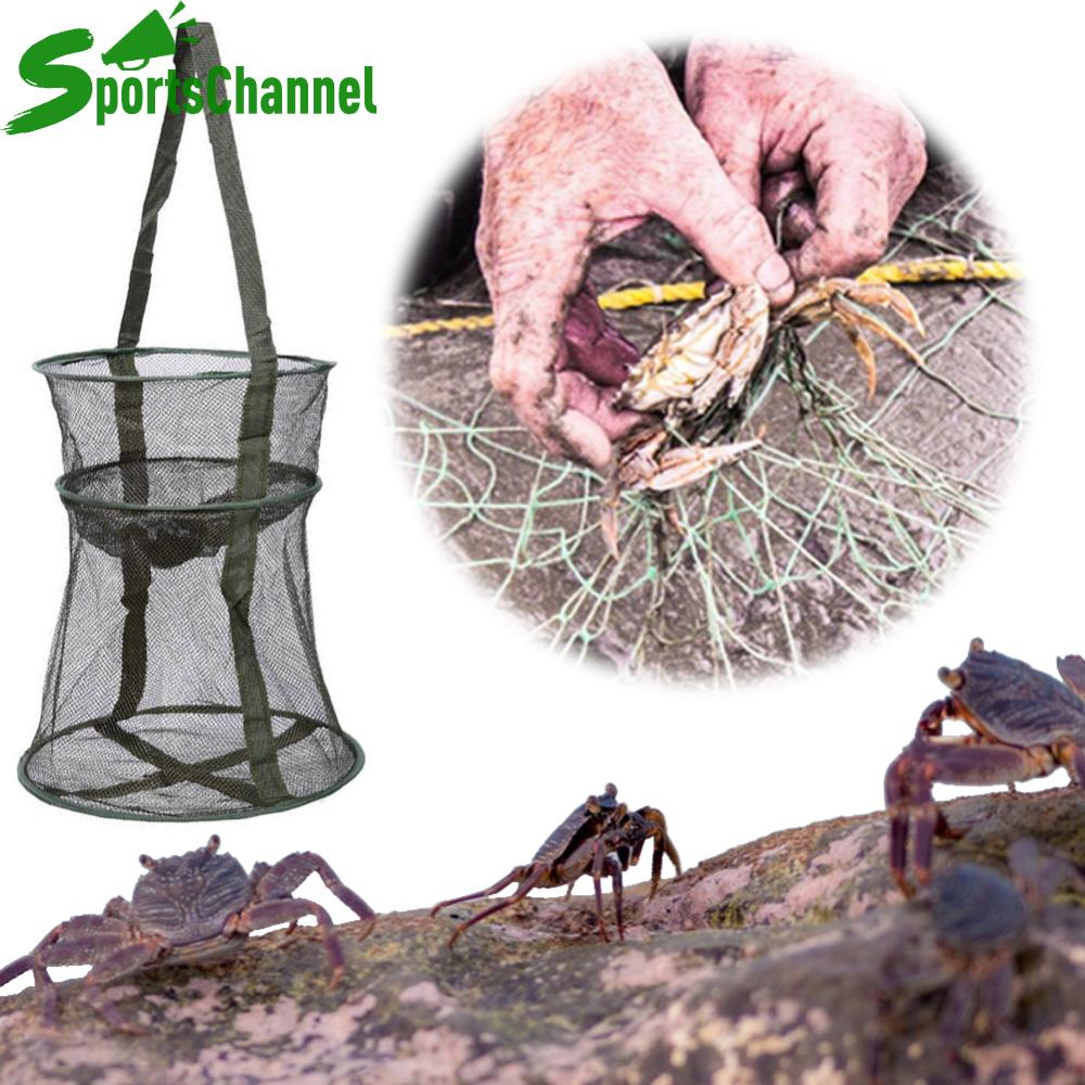 ĐI CÂU dạng lưới lồng câu cá cơ động Net Vòng ráp bẫy cá máy bay có thể gập lại Net cho cua cá