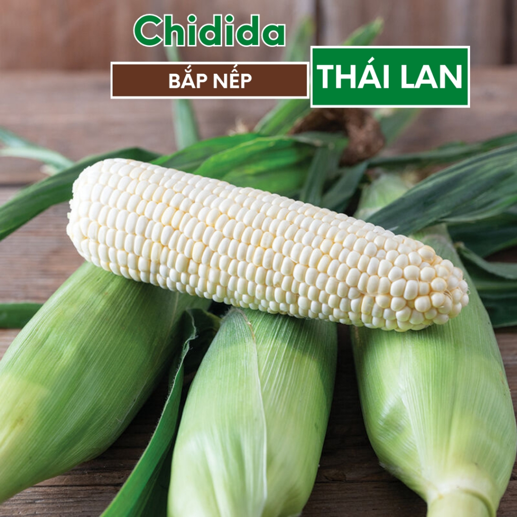 Hạt giống bắp nếp trắng Thái Lan bông to ngon dẻo ngọt hạt ngô nếp trắng 1kg nảy mầm cao dễ trồng Hạt giống Chidida