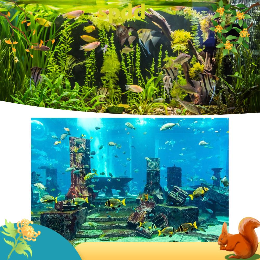 SPDD Chủ đề dưới biển Phông nền bể cá Chủ đề tàn tích Đầy màu sắc Đồ trang trí bể cá Tem nhãn dán nền PVC Poster bể cá Bể cá
