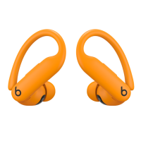 Beats Powerbeats Pro 2 True Wireless
