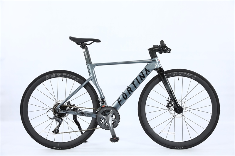 Fortina Ft7012 Touring Street Bike with Full Shimano Claris R2000 Group