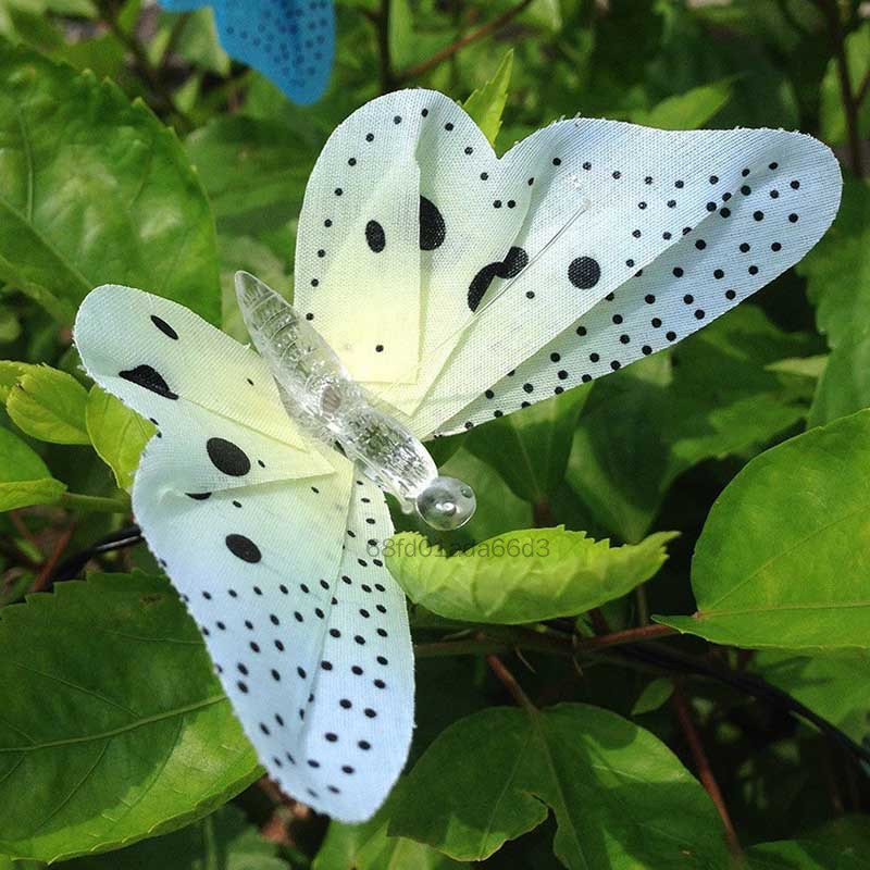 Năng lượng mặt trời 12leds Butterfly Fairy String Light Light Outdoor Party Party HJJN-VN