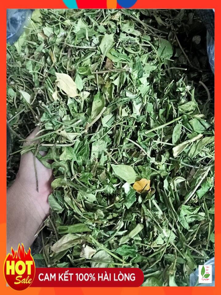 Dây thìa canh (gói 500g), trà thìa canh phơi khô, trà thảo dược cho người tiểu đường, ổn định đường huyết, mỡ máu, men gan cao