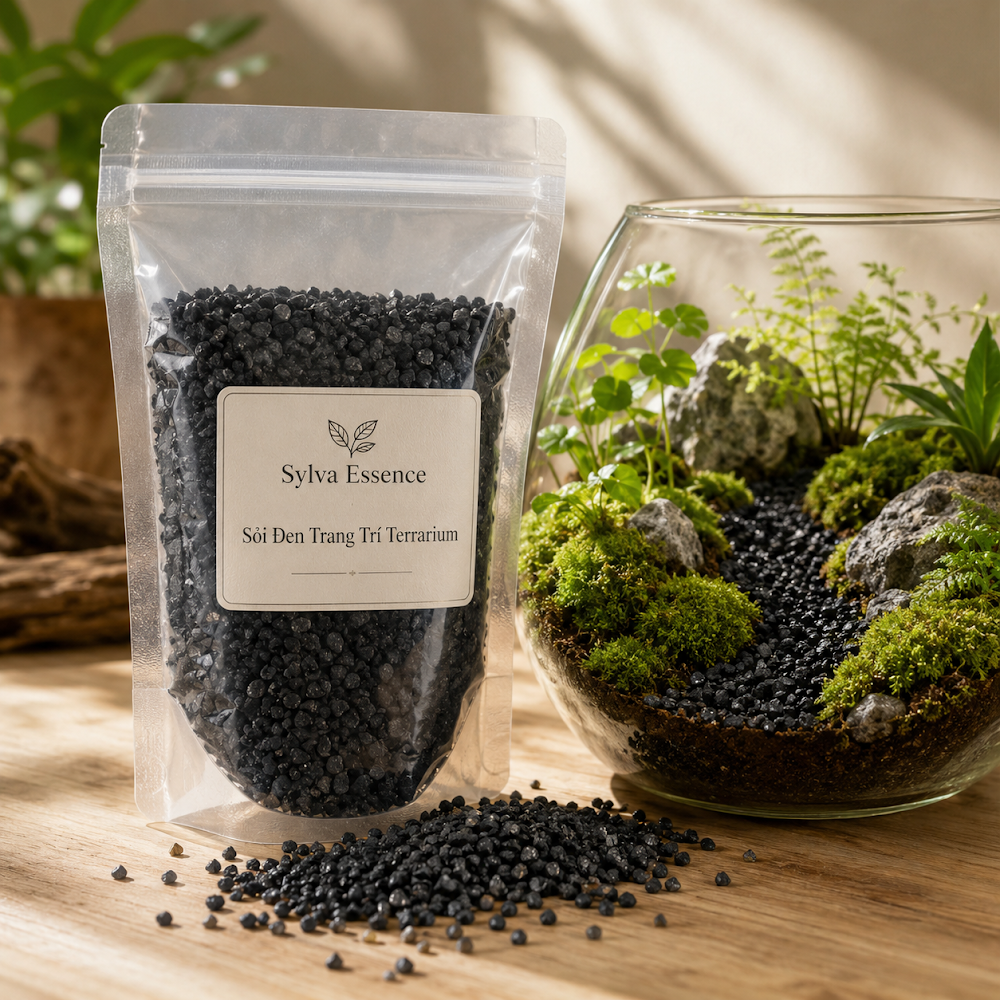 Sỏi Đen Trang Trí Terrarium