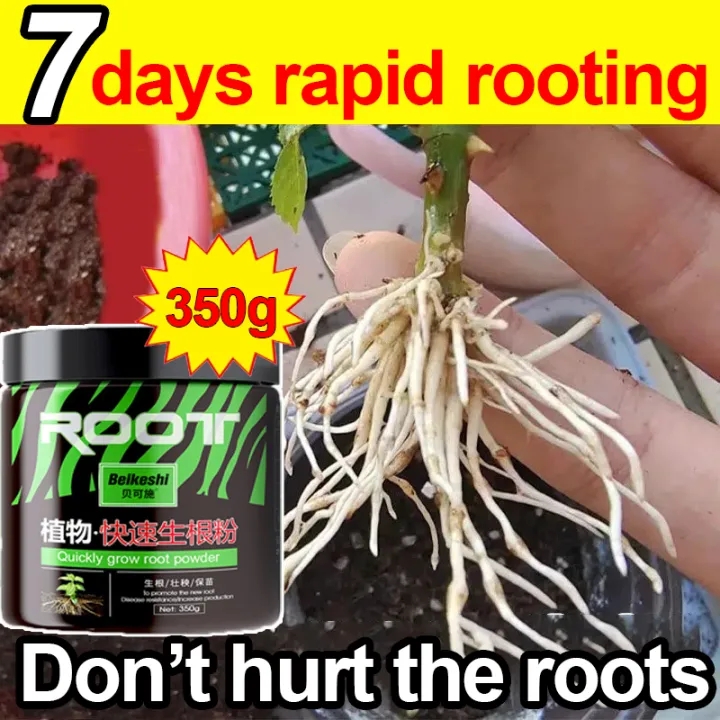 Japan 100% Rooting Super Growth Fertilizer - Fast Plant Growth