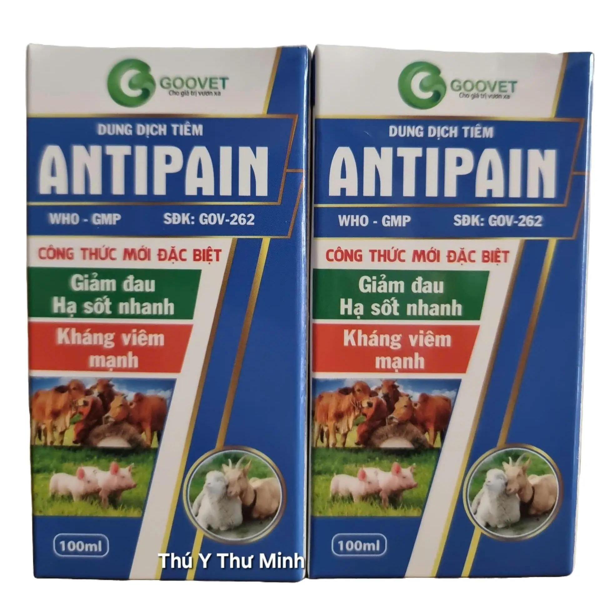 ANTIPAIN GV _ Chai 100ml - Công thức đặc biệt giảm đa.u, hạ số.t nhanh, chố.ng vi.êm mạnh trên lợn, gia súc, gia cầm