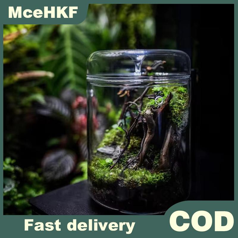 MceHKF ขวดแก้วคอลเลกชันสุดสร้างสรรค์แจกันแก้วมอส, แจกันแก้วมอสทรงอวบน้ำภูมิทัศน์ภูมิทัศน์ภูมิทัศน์ขนาดเล็กตกแต่งบ้าน ราคา 163 บาท*ส่งฟรี