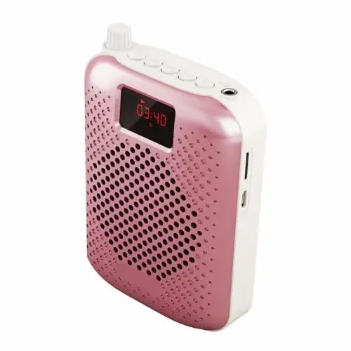 The-Best Hot ticket Portable Auto Pairing USB Charging Voice Amplifier