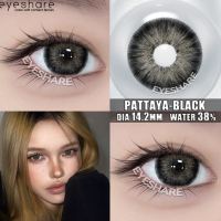 Eyeshare [Grade 0.0~-8.00] 1Pair PATTAYA Gray Brown Contact Lens With Graded Cosmetic Lenses