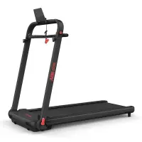 treadmill with separate tracks