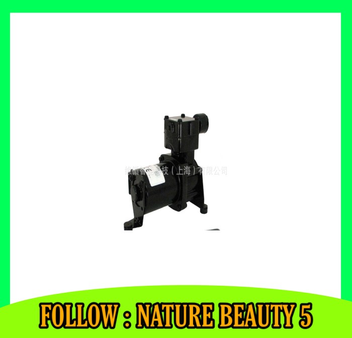 PROMO- MINIATURE VACUUM PUMP 319CDC50 / 24 | ELECTRIC VEHICLE VACUUM PUMP | - MINAMIA SHOP Harga 12,263,000 rupiah*Gratis Ongkir