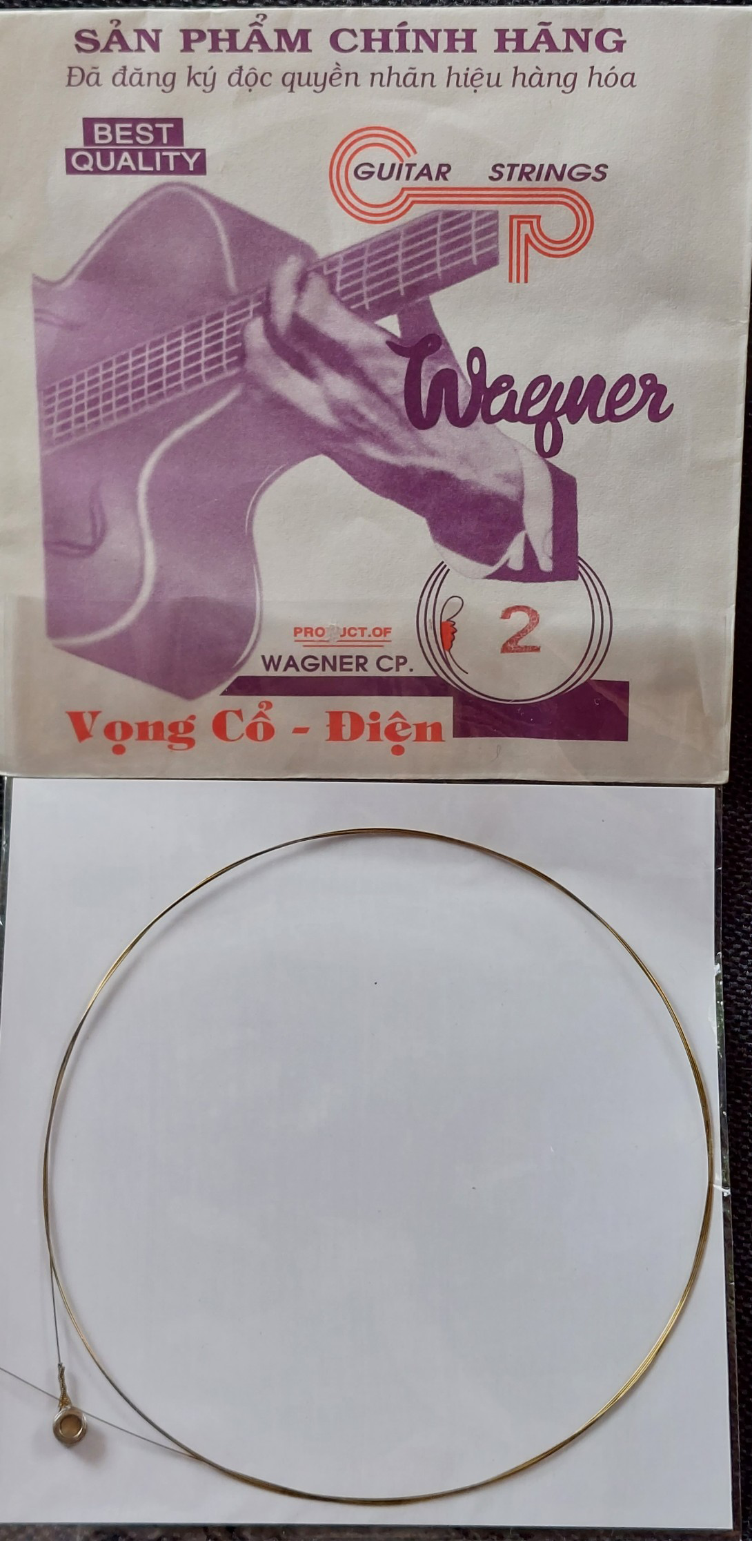 Hãng Dây Đàn Việt Nam