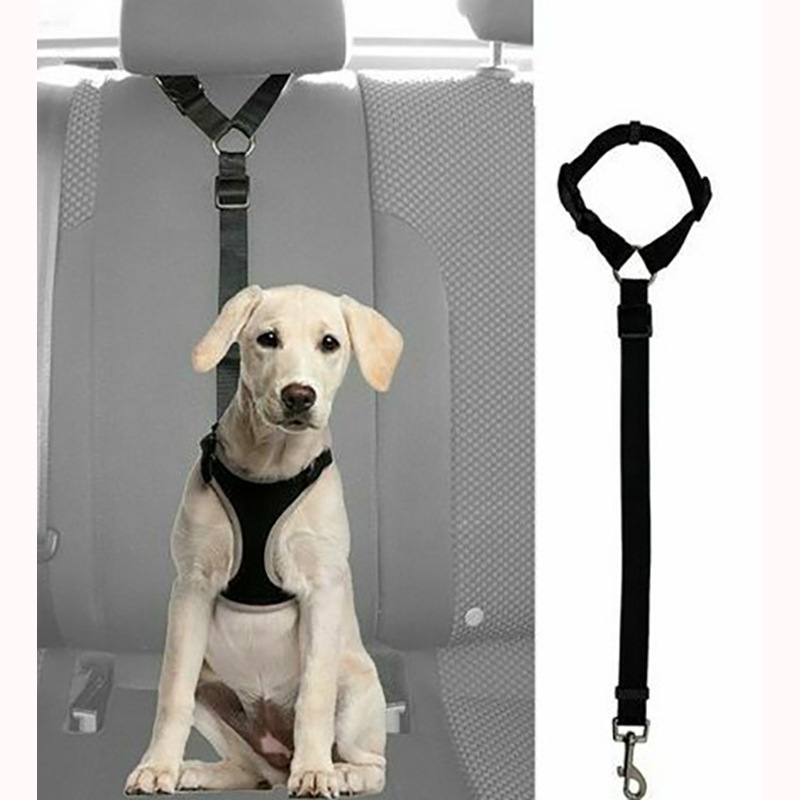 Dây thừng cho thú cưng Mới Vòng hình tròn Dog xe an toàn điều chỉnh ghế sau Đai kéo phụ kiện xe hơi