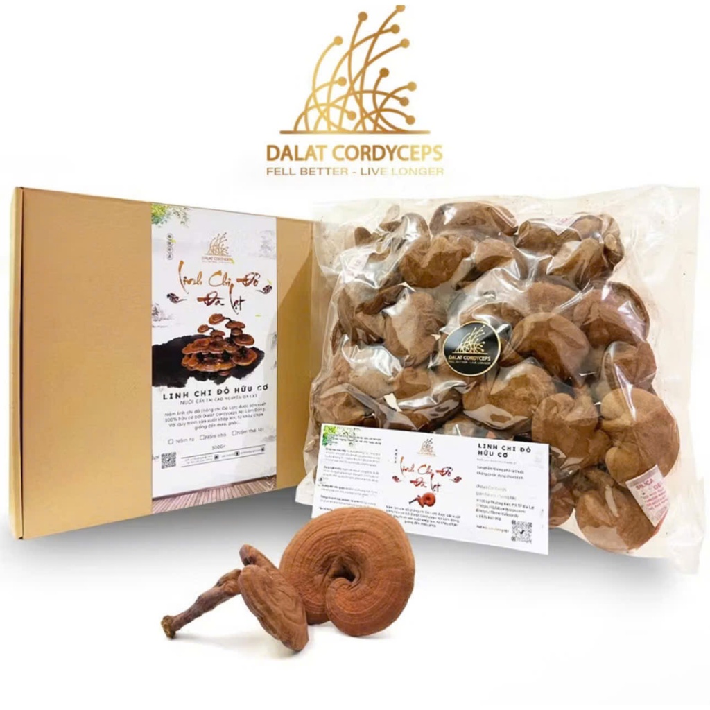 Nấm linh chi đỏ Đà Lạt còn nguyên bào tử nấm loại nguyên 250g&500g - Dalat Cordyceps
