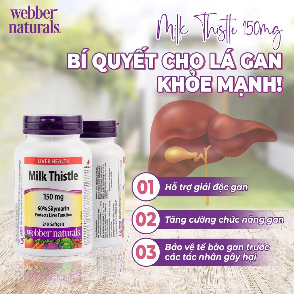 [HÀNG CÔNG TY] Viên Uống Hỗ Trợ Gan Giải độc rượυ Webber Naturals Milk Thistle 150mg (240 viên) Thải Độc và Bảo Vệ Gan