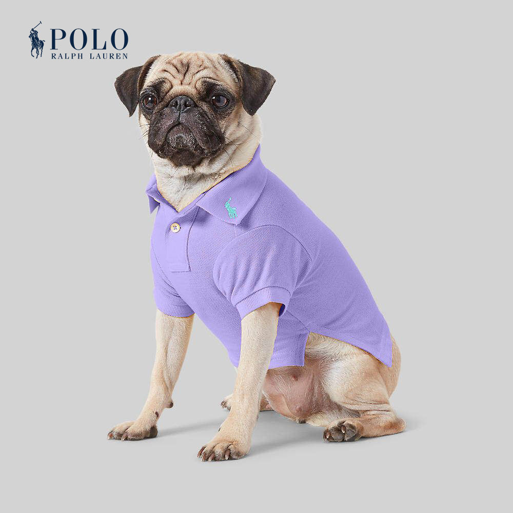 Polo Ralph Lauren Unisex Petwear-Cotton Mesh Dog Polo Shirt HMPOPAP56320020 500 Purple ราคา 2,500 บาท*ส่งฟรี