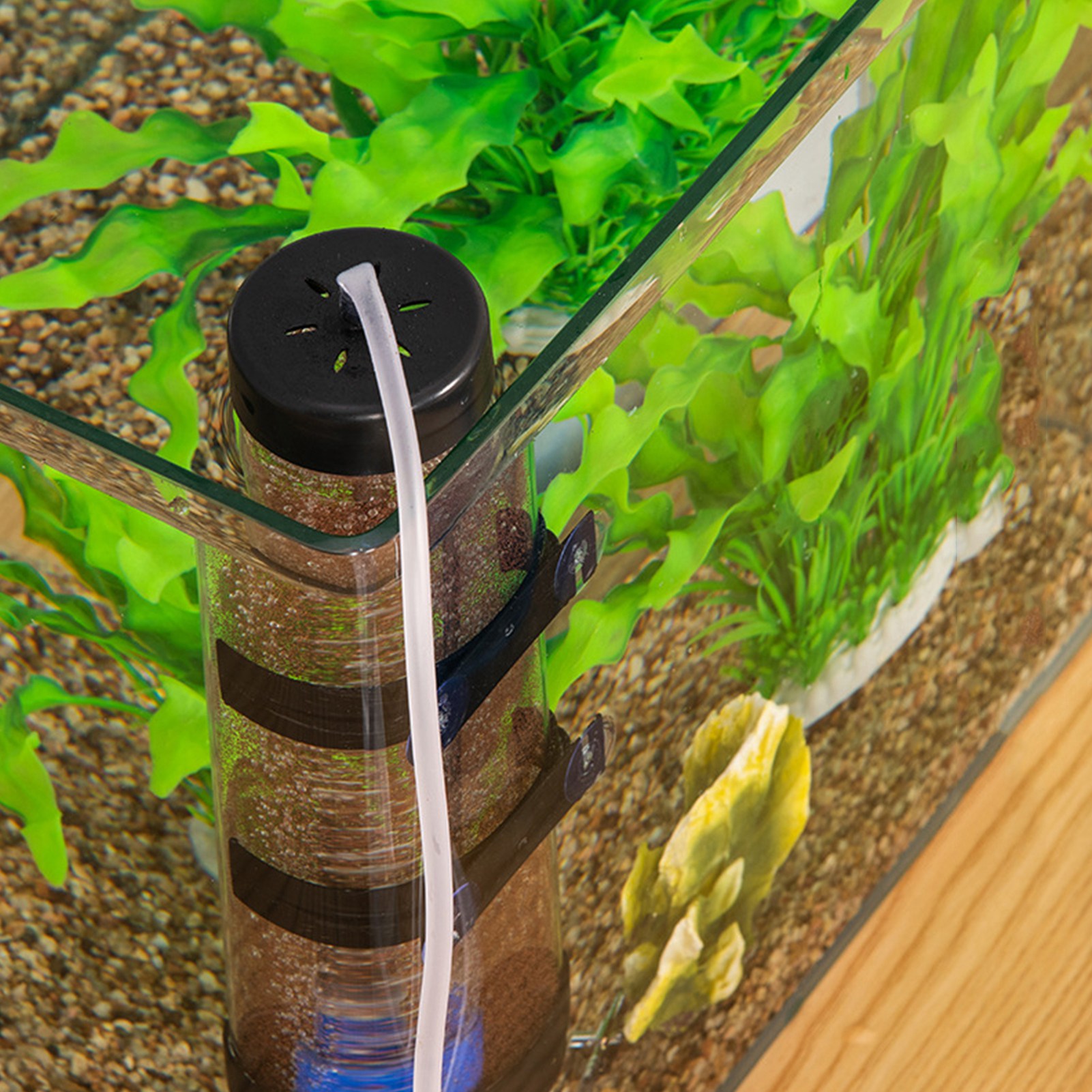 Artemia Trứng Hatchery Kit Thuận Tiện Nước Muối Tôm Máy ấp trứng Thực Tế không độc hại Cho Nước Muối Tôm Trứng Cho Aquarium