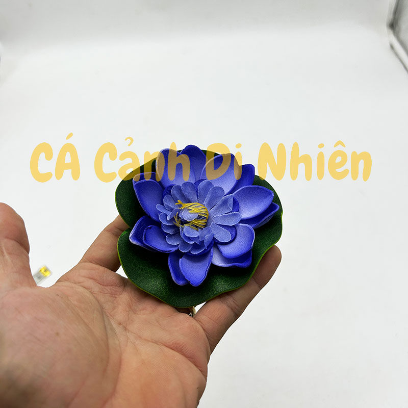 Hoa sen thả nổi mặt nước Size NHỎ BÔNG NỞ trang trí hồ cá cảnh - 7